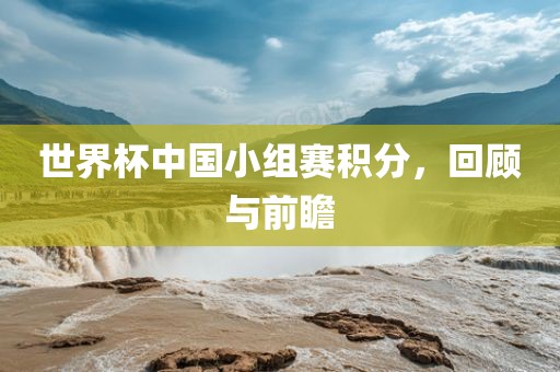 世界杯中国小组赛积分，回顾与前瞻