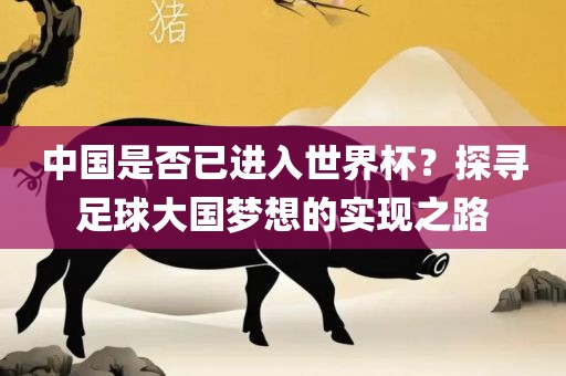 中国是否已进入世界杯？探寻足球大国梦想的实现之路漯河市盈旭机械设备有限公司