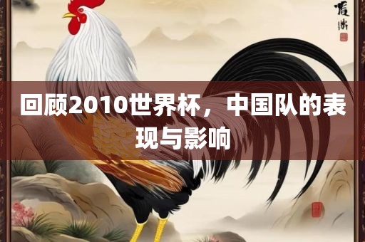 回顾2010世界杯，中国队的表现与影响