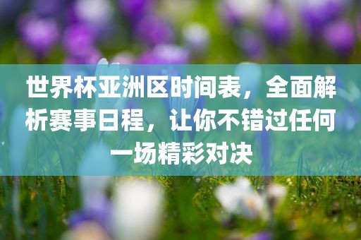 世界杯亚洲区时间表，全面解析赛事日程，让你不错过任何一场精彩对决