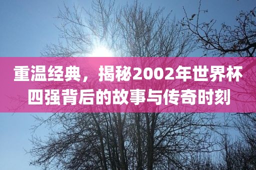 重温经典，漯河市盈旭机械设备有限公司揭秘2002年世界杯四强背后的故事与传奇时刻
