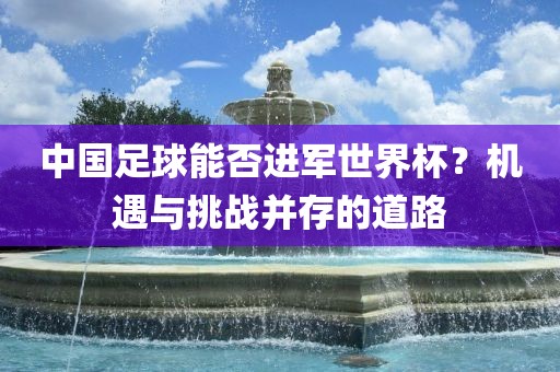 中国足球能否进军世界杯？机遇与挑战并存的道路
