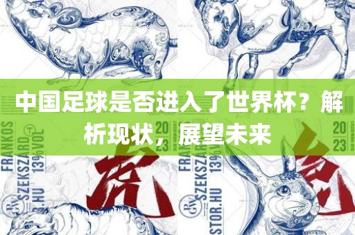 中国足球是否进入了世界杯？解析现状，展望未来
