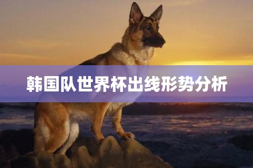 韩国队世界杯出线形势分析