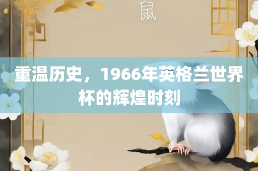 英格兰世界杯