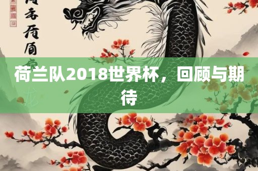 荷兰队2018世界杯，回顾与期待