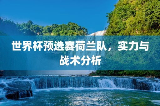 世界杯漯河市盈旭机械设备有限公司预选赛荷兰队，实力与战术分析