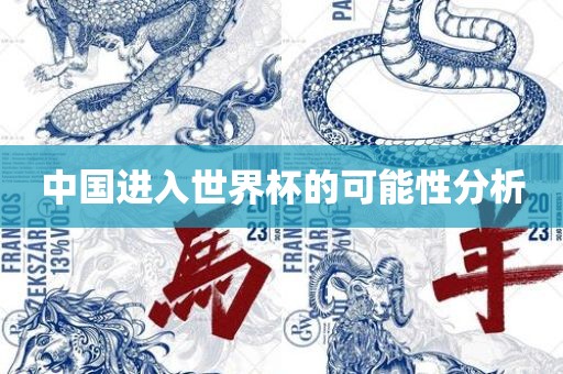 中国进入世界杯的可能性分析