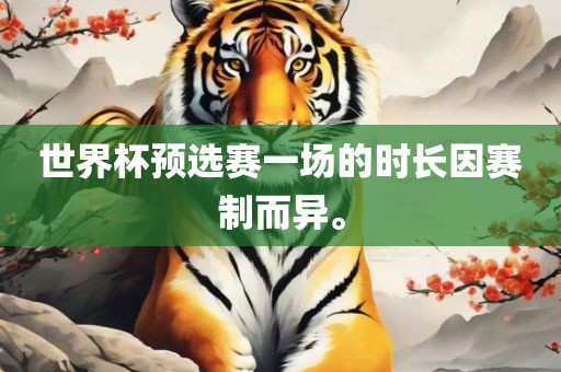 世界杯预选赛一场的时长因赛制而异。