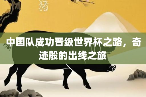 中国队成功晋级世界杯之路，奇迹般的出线之旅