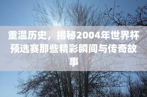 重温历史，揭秘2004年世界杯预选赛那些精彩瞬间与传奇故事