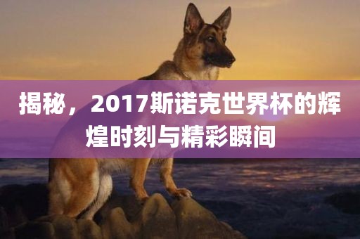 揭秘，2017斯诺克世界杯的辉煌时刻与精彩瞬间