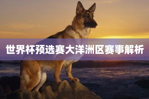 世界杯预选赛大洋洲区赛事解析