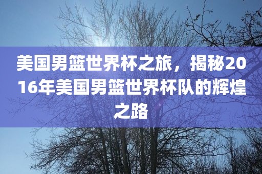 美国男篮世界杯之旅，揭秘2016年美国男篮世界杯队的辉煌之路