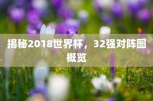 揭秘2018世界杯，32强对阵图概览漯河市盈旭机械设备有限公司