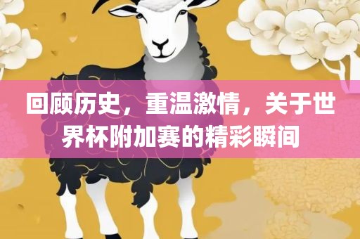 回顾历史，重温激情，关于世界杯附加赛的精彩瞬间