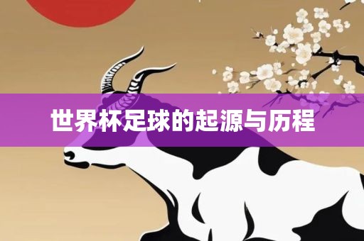 世界杯足球的起源与历程漯河市盈旭机械设备有限公司