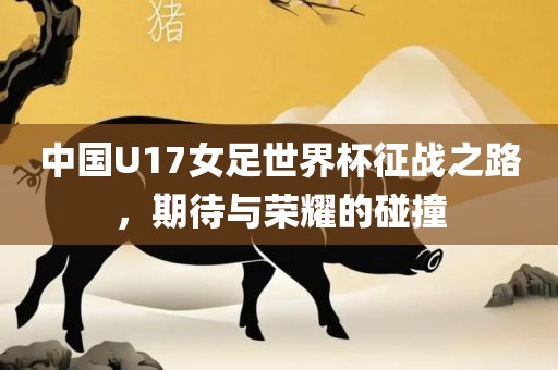 中国U17女足世界杯征战之路，期待与荣耀的碰撞