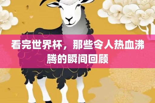 热血沸腾的瞬间回顾