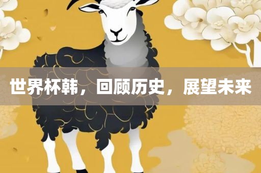世界杯韩，回顾历史，展望未来
