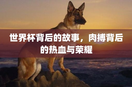世界杯背后的故事，肉搏背后的热血与荣耀