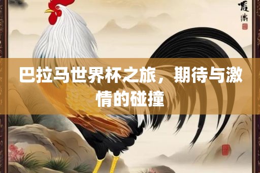 巴拉马世界杯之旅，期待与激情的碰撞