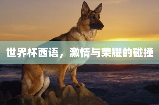 世界杯西语，激情与荣耀的碰撞
