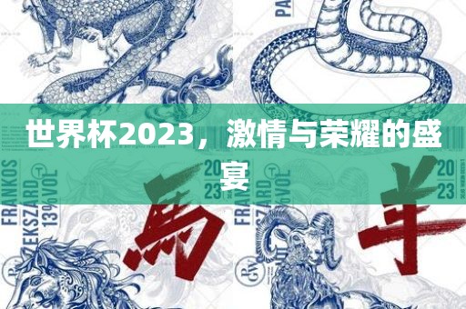 世界杯2023，激情与荣耀的盛宴
