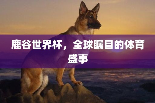 鹿谷世界杯，全球瞩目的体育盛事