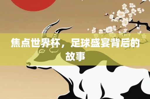 焦点世界杯，足球盛宴背后的故事