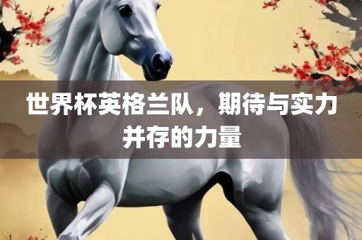 世界杯英格兰队，期待与实力并存的力量