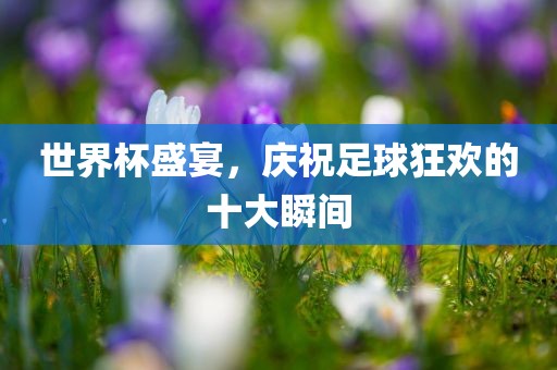 世界杯盛宴，庆祝足球狂欢的十大瞬间