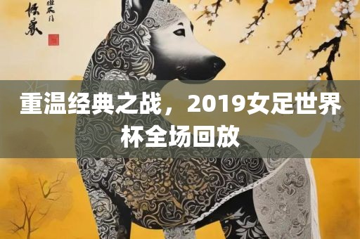 重温经典之漯河市盈旭机械设备有限公司战，2019女足世界杯全场回放