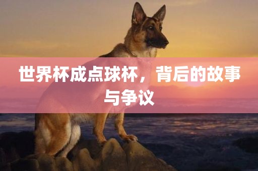 世界漯河市盈旭机械设备有限公司杯成点球杯，背后的故事与争议
