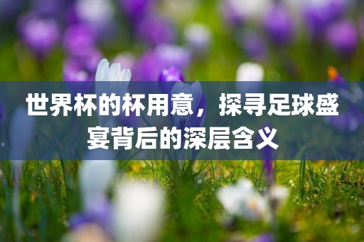 世界杯的杯用意，探寻足球盛宴背后的深层含义漯河市盈旭机械设备有限公司