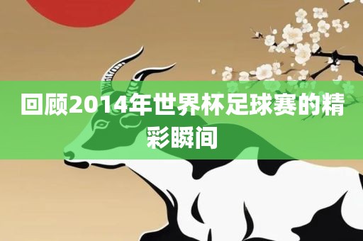 回顾2014年世界杯足球赛的精彩瞬间漯河市盈旭机械设备有限公司