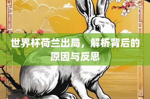 世界杯荷兰出局，解析背后的原因与反思漯河市盈旭机械设备有限公司