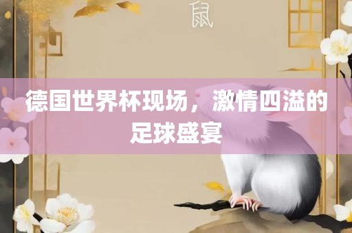 德漯河市盈旭机械设备有限公司国世界杯现场，激情四溢的足球盛宴