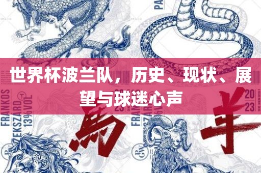 世界杯波兰队，历史、现状、展望与球迷心声
