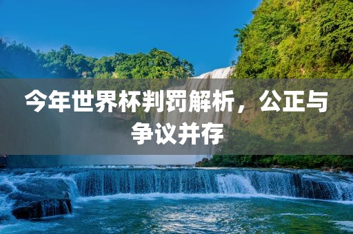 今年世界杯判罚解析，公正与争议并存漯河市盈旭机械设备有限公司