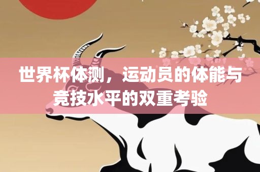 世界杯体测，运动员的体能与竞技水平的双重考验