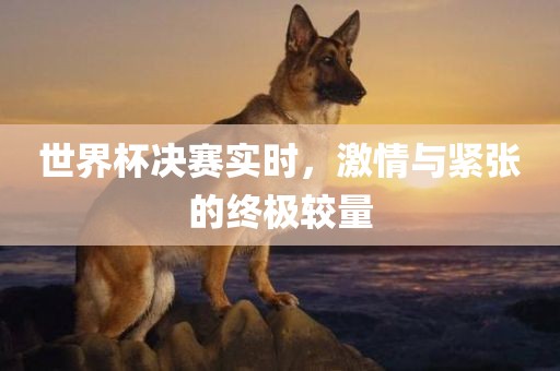 世界杯决赛实时，激情与紧张的终极较量
