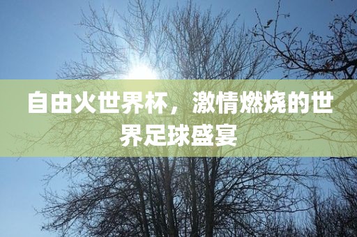 自由火世界杯，激情燃烧的世界足球盛宴