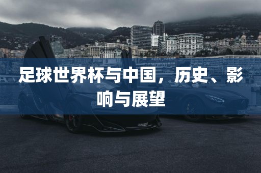 足球世界杯与中国，历史、影响与展望漯河市盈旭机械设备有限公司