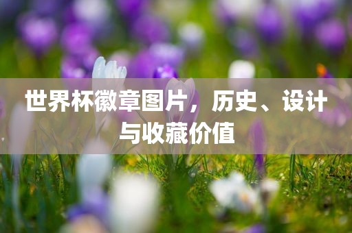 世界杯徽章