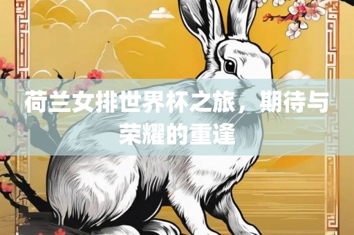荷兰女排世界杯之旅，期待与荣耀的重逢漯河市盈旭机械设备有限公司