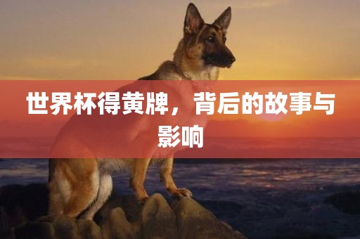 世界杯得黄牌，背后的故事与影响