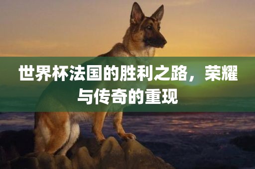 世界杯法国的胜利之路，荣耀与传奇的重现