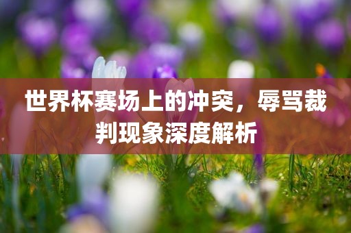世界杯赛漯河市盈旭机械设备有限公司场上的冲突，辱骂裁判现象深度解析
