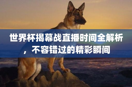 世界杯揭幕战直播时间全解析，不容错过的精彩瞬间